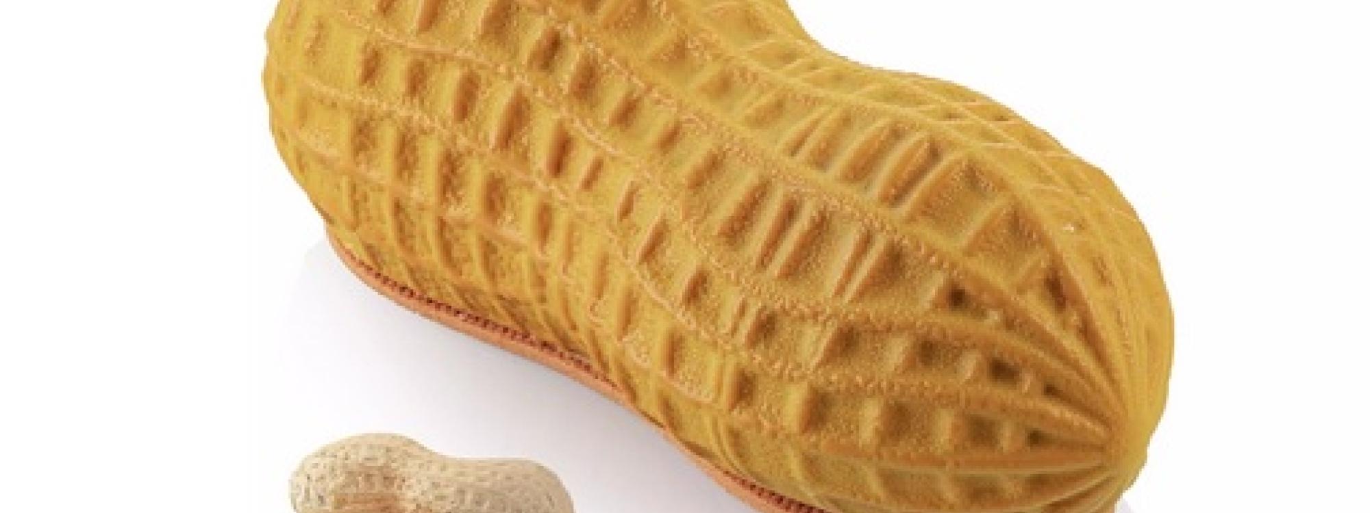 PEPPE LEOTTA ALTA FORMAZIONE SCUOLA DI PASTICCERIA CORSO L'Ultima Tendenza della Pasticceria Contemporanea: La Frutta Realistica