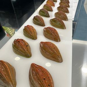PEPPE LEOTTA ALTA FORMAZIONE CORSI CONPAIT-SICILIA SCUOLA CORSO BASE PASTICCERIA CONPAIT CAST ALIMENTI