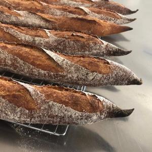 PEPPE LEOTTA ALTA FORMAZIONE CORSI CONPAIT-SICILIA SCUOLA PASTICCERIA I GRANDI LIEVITATI PASQUALI E LA PANIFICAZIONE DEL MAESTRO ANTONIO CHIERA