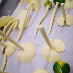 PEPPE LEOTTA ALTA FORMAZIONE CORSI CONPAIT-SICILIA SCUOLA CORSO CIOCCOLATO ARTISTICO